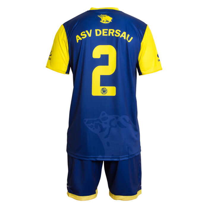 Leuchtende Teamfarben – Fußball Trikot-Set ASV Dessau – Bild 4